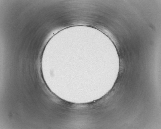 X0000114391187200911271452