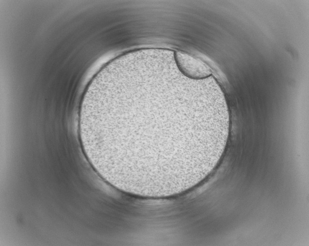 X0000114391188200911271452