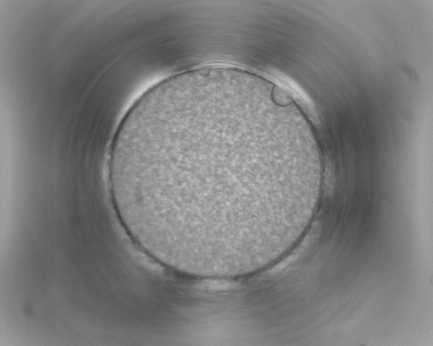 X0000114391190200911271452