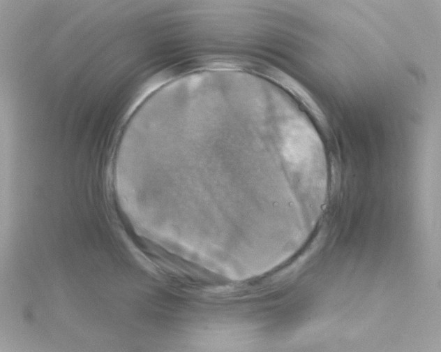 X0000114391194200911271452