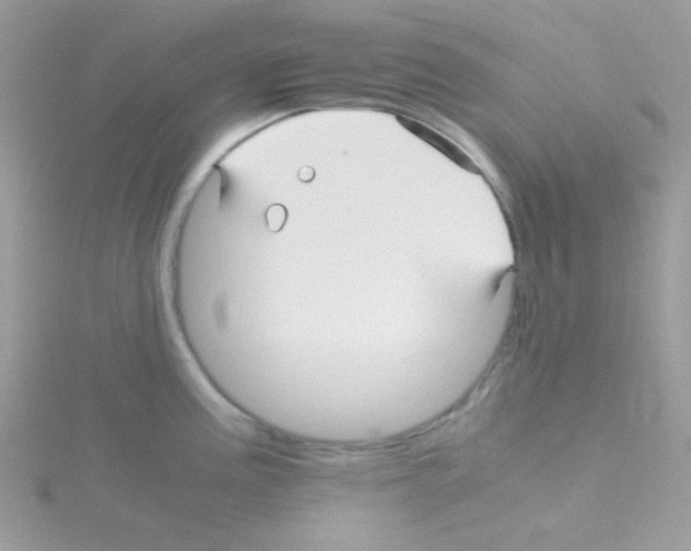 X0000114391195200911271452