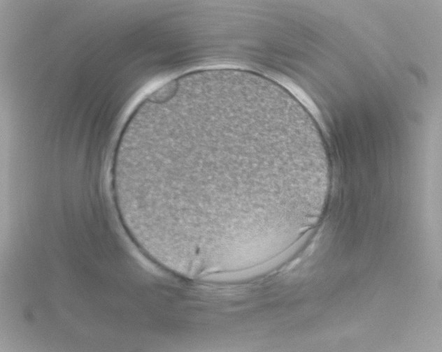 X0000114391197200911271452