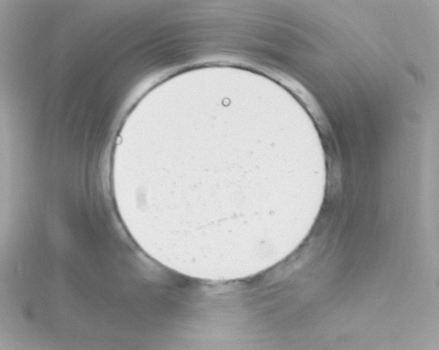 X0000114391199200911271452