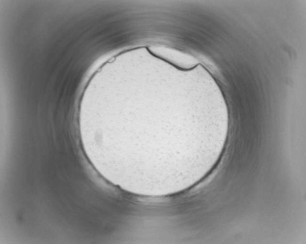 X0000114391200200911271452