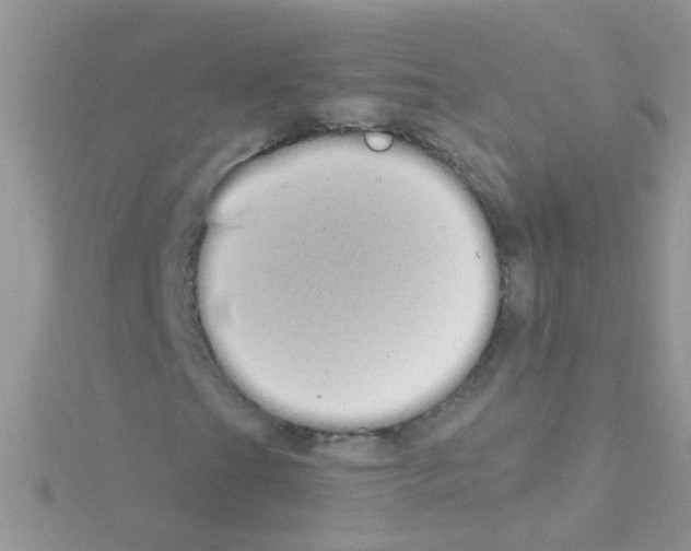 X0000114391201200911271451