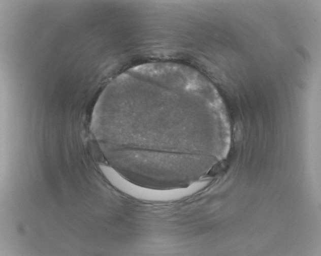 X0000114391202200911271451