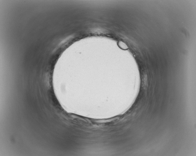 X0000114391205200911271451