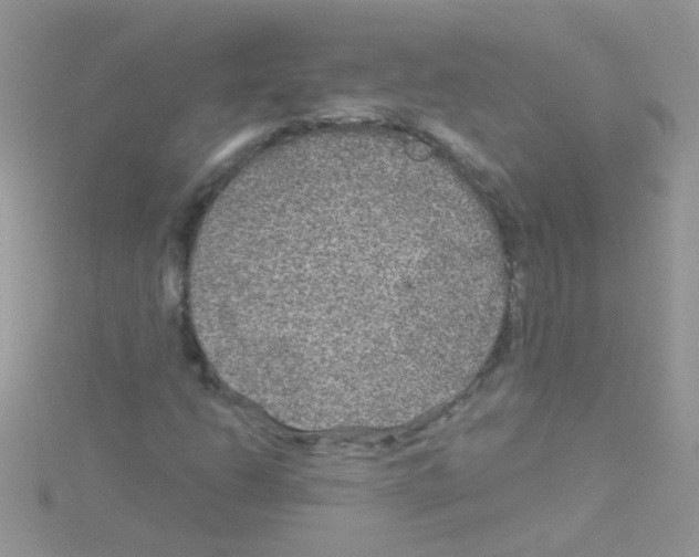 X0000114391206200911271451