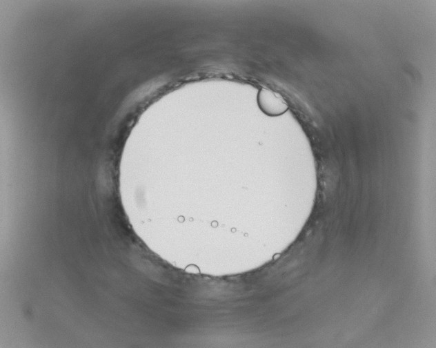 X0000114391207200911271451