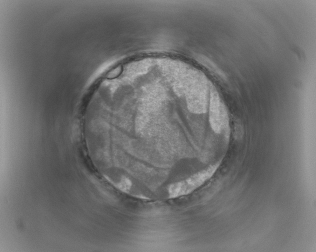 X0000114391208200911271452