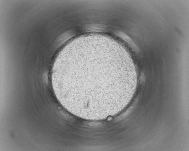 X0000114391209200911271452