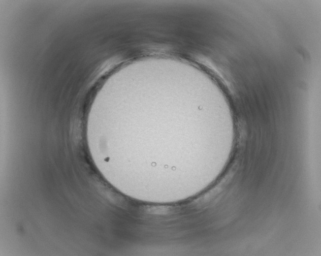 X0000114391211200911271452