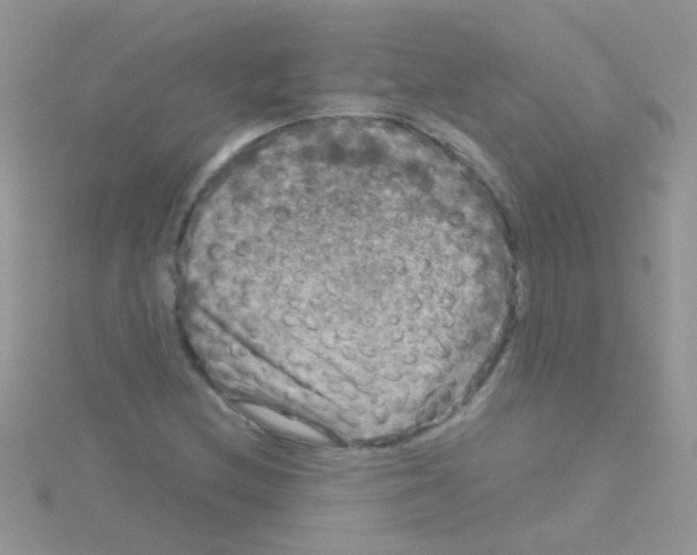 X0000114391212200911271452