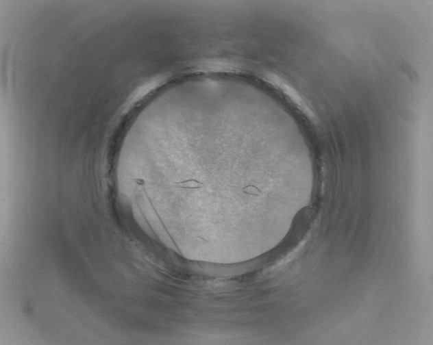 X0000114391213200911271452