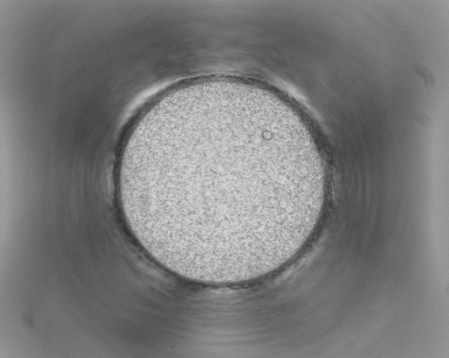 X0000114391214200911271452