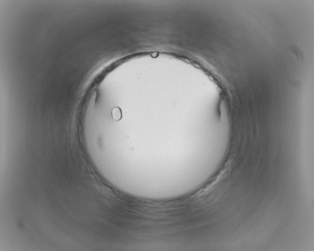 X0000114391215200911271452