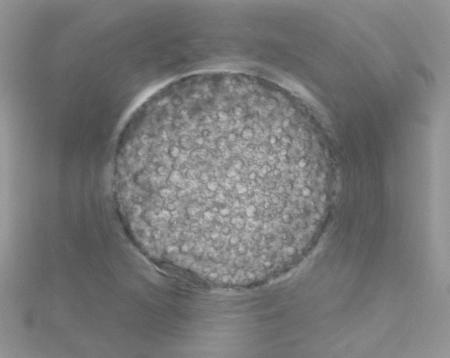 X0000114391216200911271452