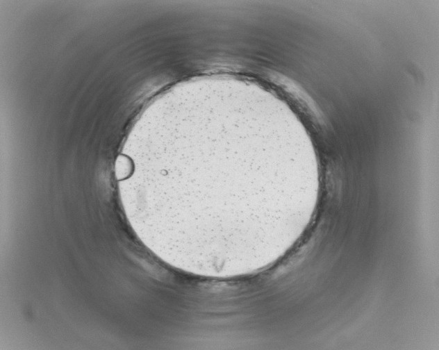 X0000114391217200911271452