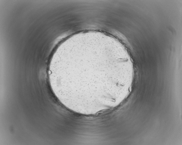 X0000114391218200911271452