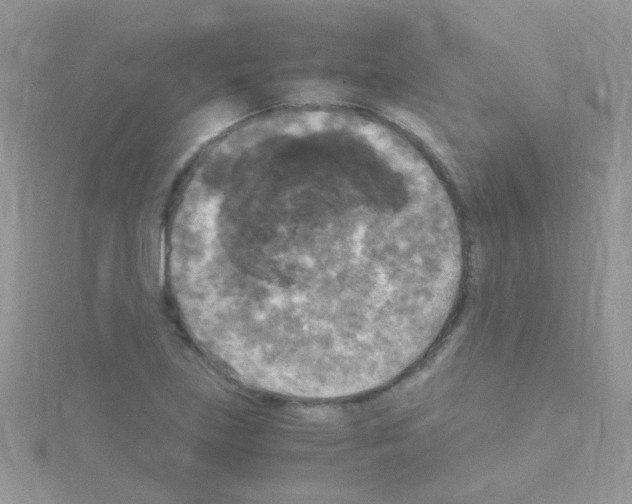 X0000114391219200911271452