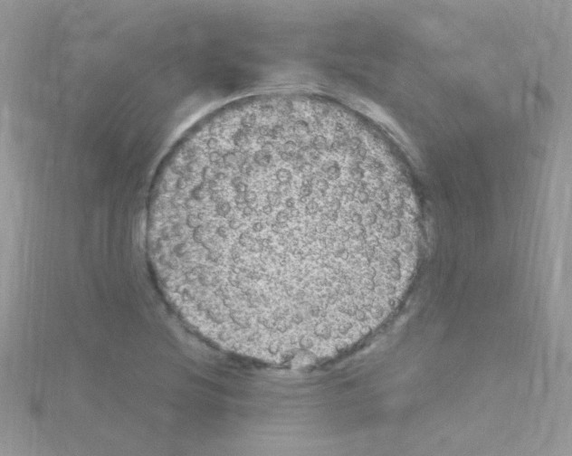 X0000114391220200911271452