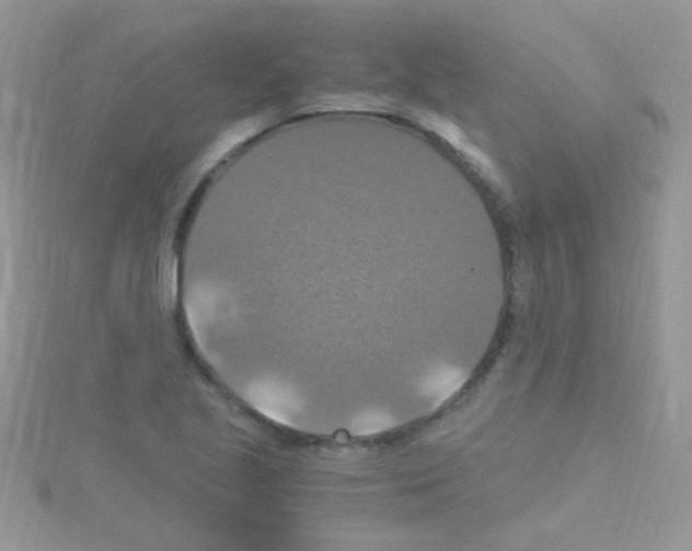 X0000114391221200911271452