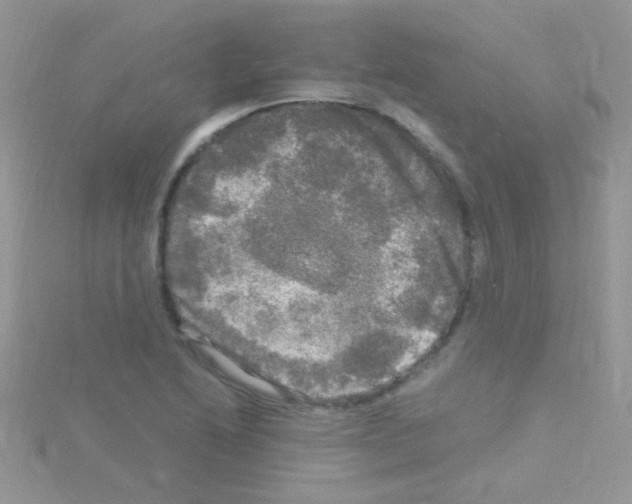 X0000114391222200911271452