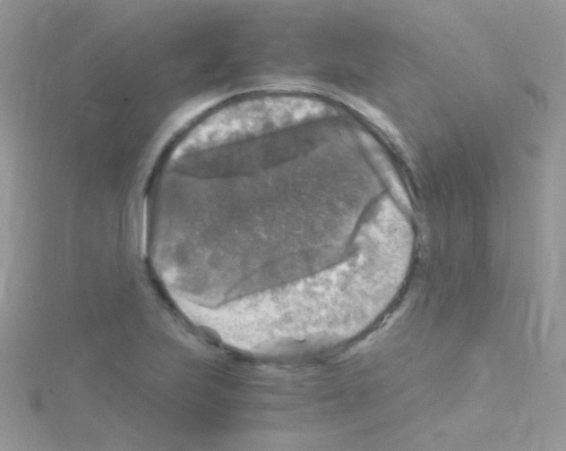 X0000114391223200911271452