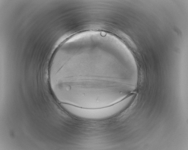 X0000114391226200911271452