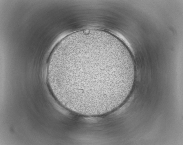 X0000114391227200911271452