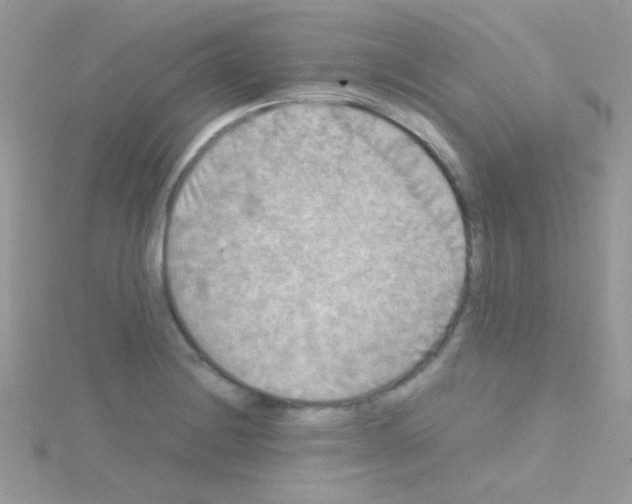 X0000114391228200911271452