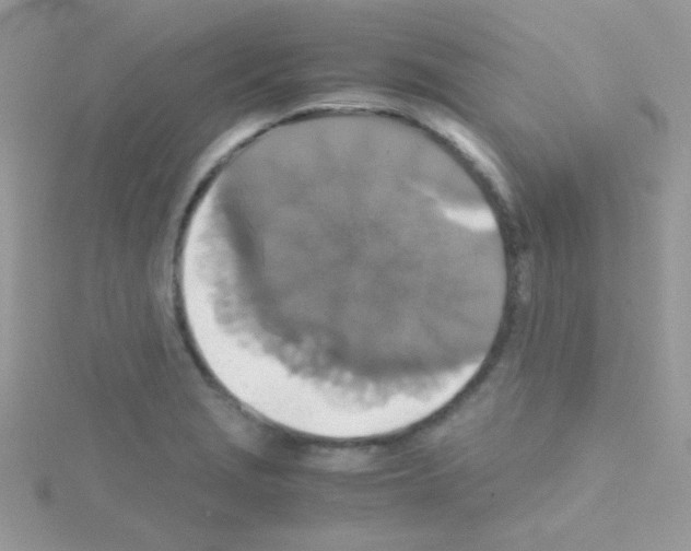 X0000114391229200911271452