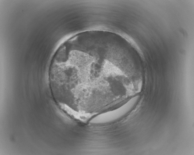 X0000114391230200911271452