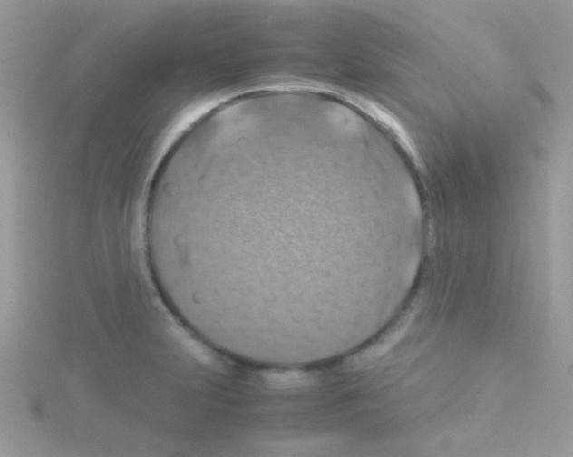 X0000114391231200911271452