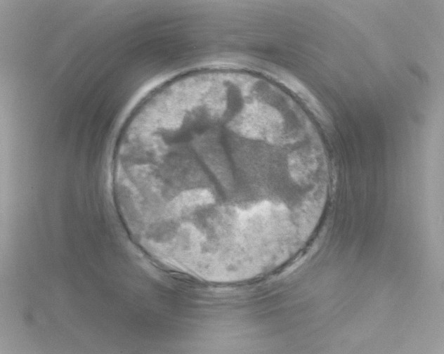 X0000114391232200911271452