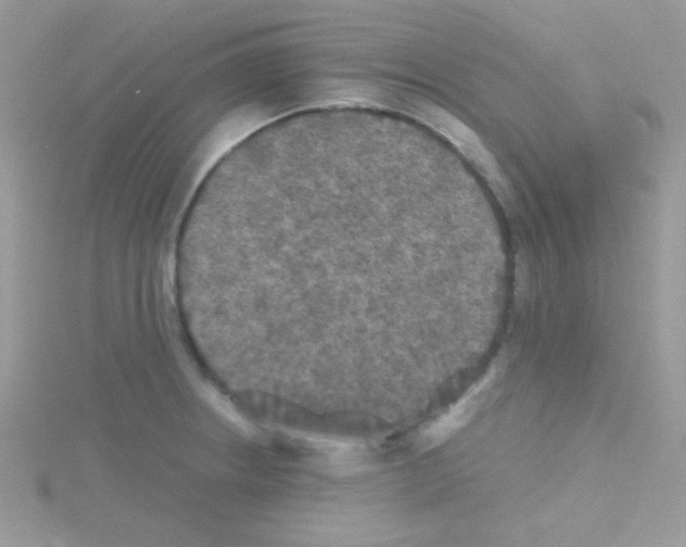 X0000114391234200911271452