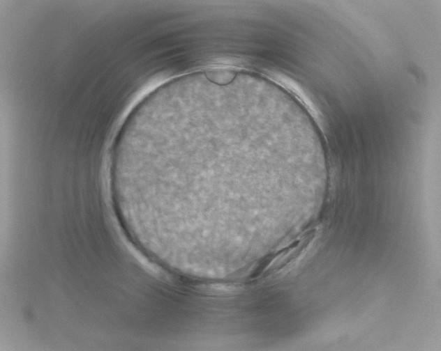 X0000114391235200911271452