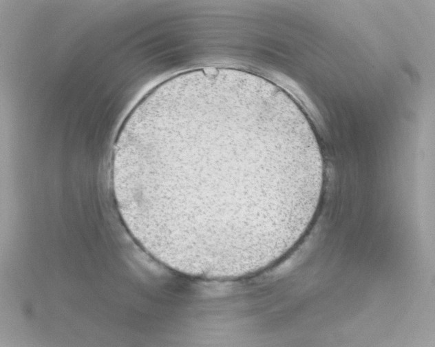 X0000114391236200911271452