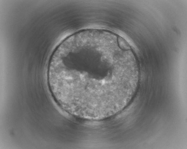 X0000114391237200911271452