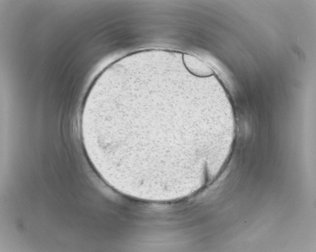 X0000114391238200911271452