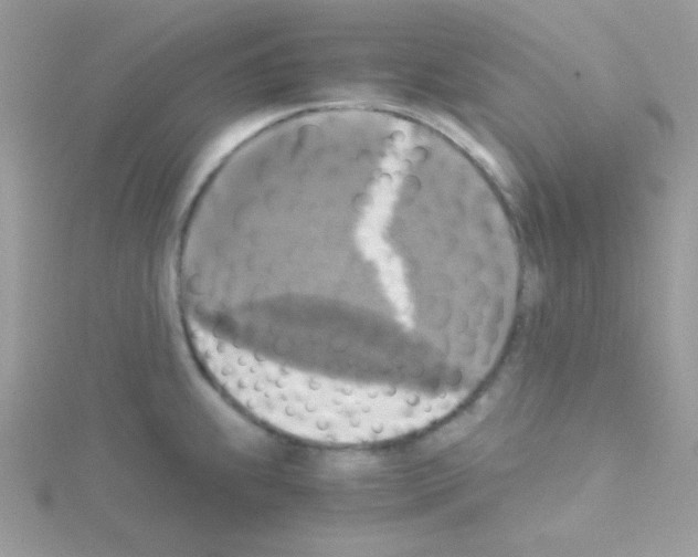 X0000114391239200911271452