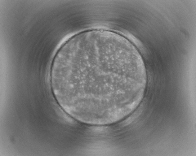 X0000114391240200911271452