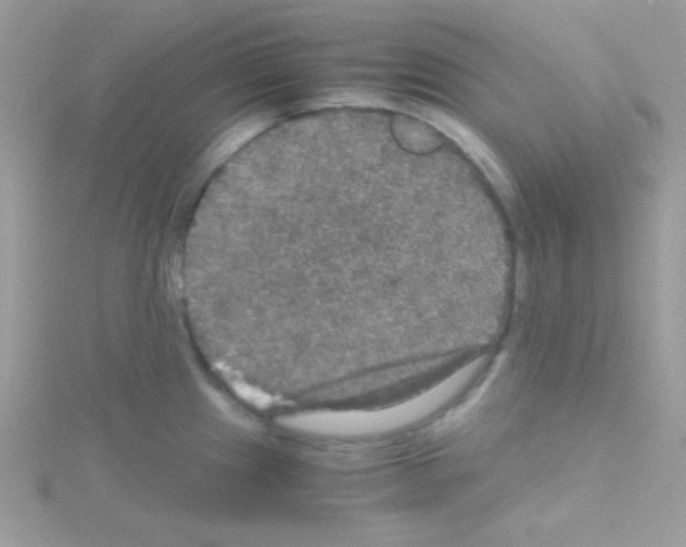 X0000114391241200911271452