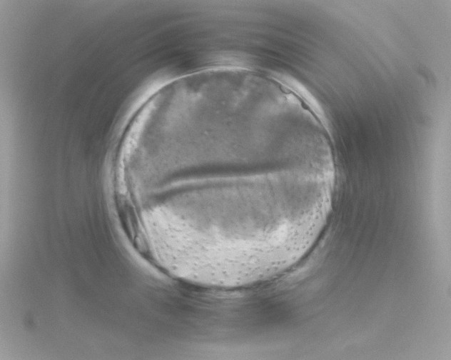 X0000114391243200911271452