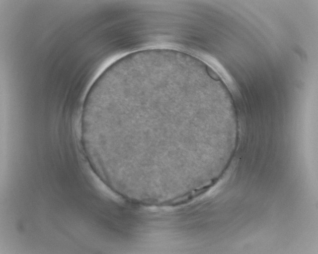 X0000114391244200911271452