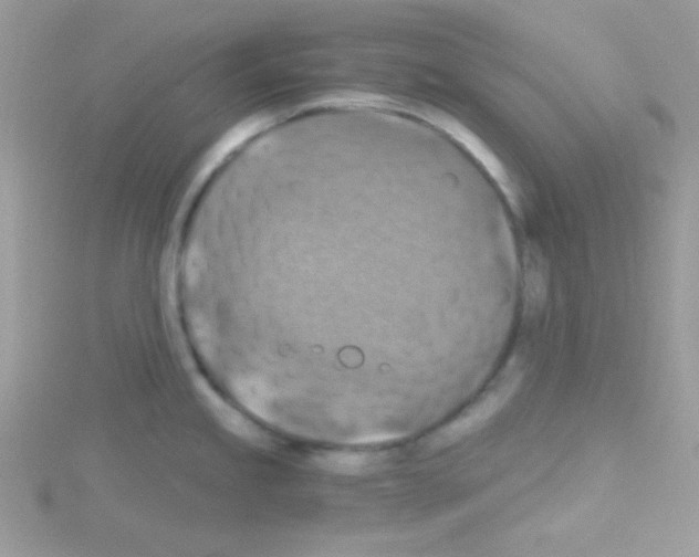 X0000114391245200911271452