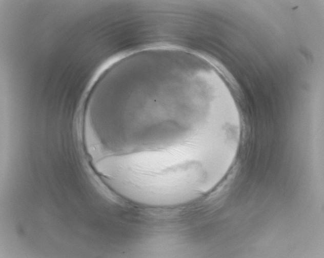 X0000114391246200911271452