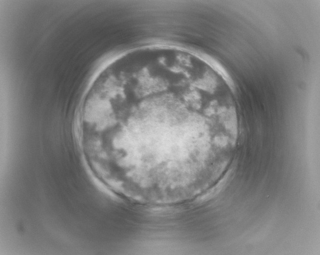 X0000114391247200911271452