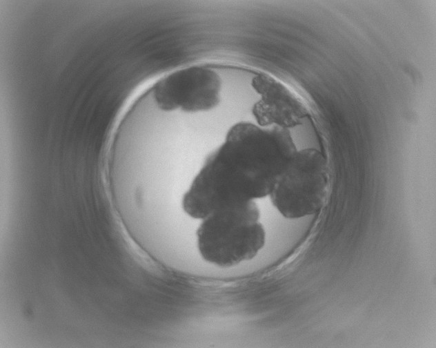 X0000114391248200911271452