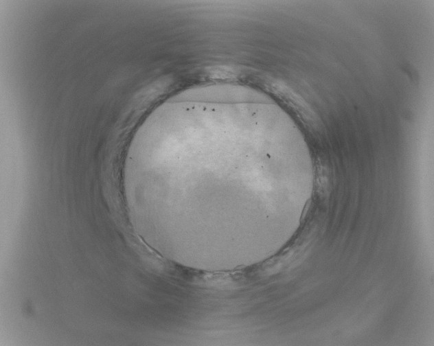 X0000114391249200911271451